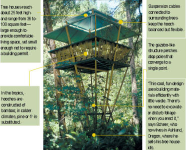Arboreal Abode: Puerto Rican Man Builds a Sustainable Tree House Image